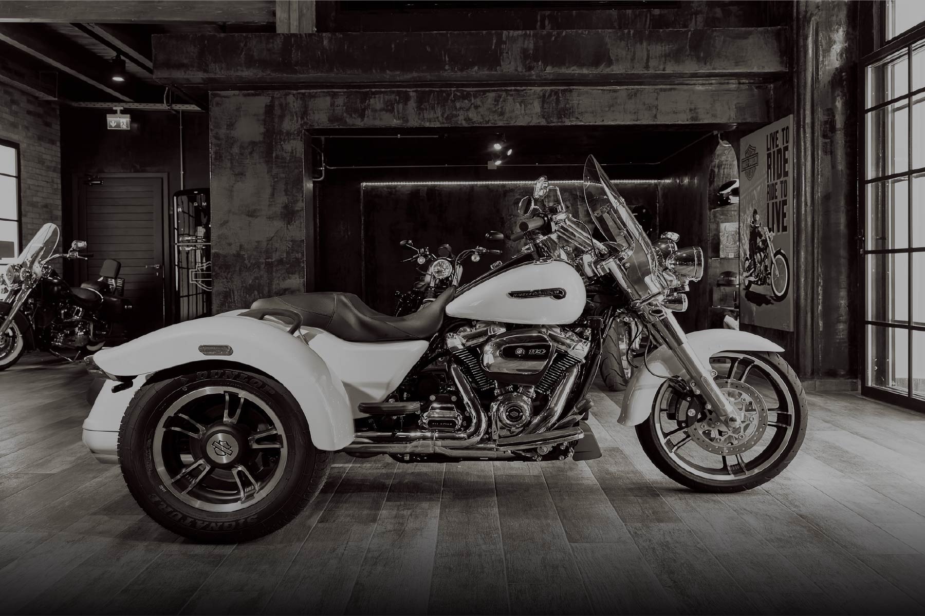 esperides motro rental 1