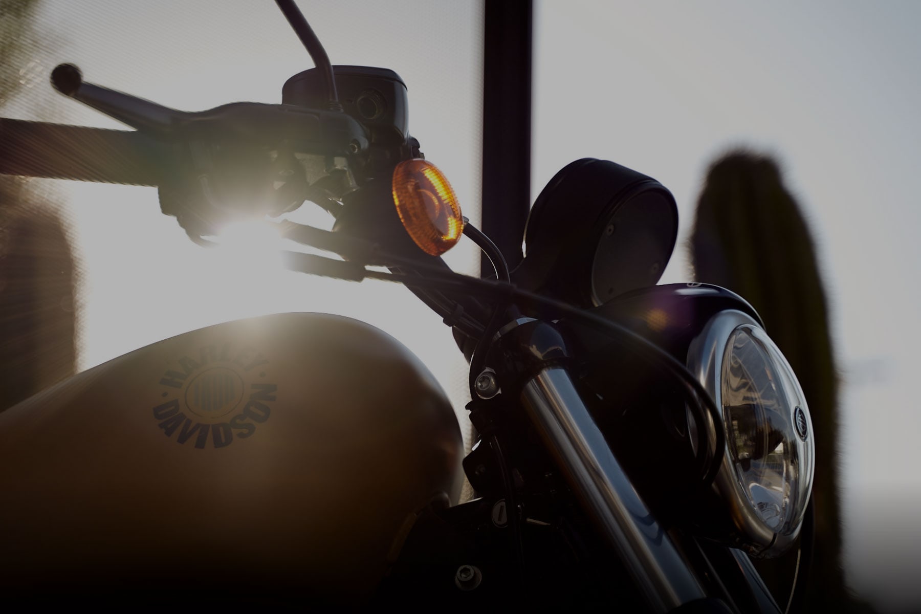 esperides motro rental 4